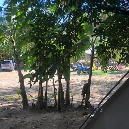 The Riverdeck Accommodation And Backpackers 나이스나 외부 사진