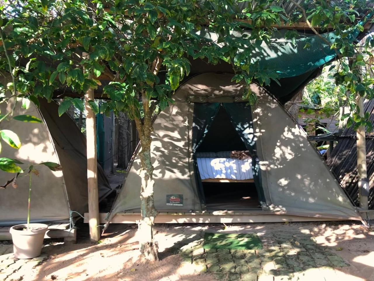 The Riverdeck Accommodation And Backpackers 나이스나 외부 사진