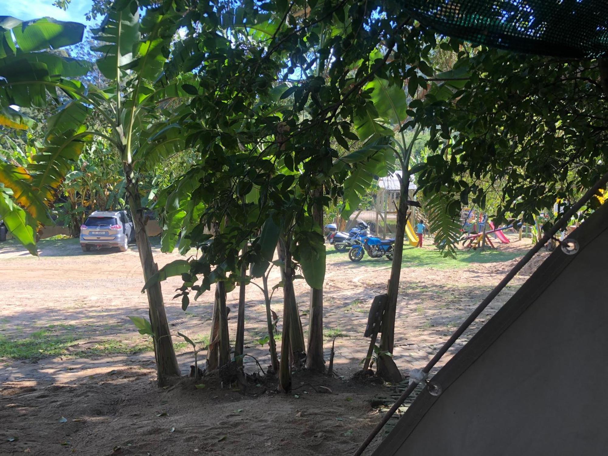 The Riverdeck Accommodation And Backpackers 나이스나 외부 사진
