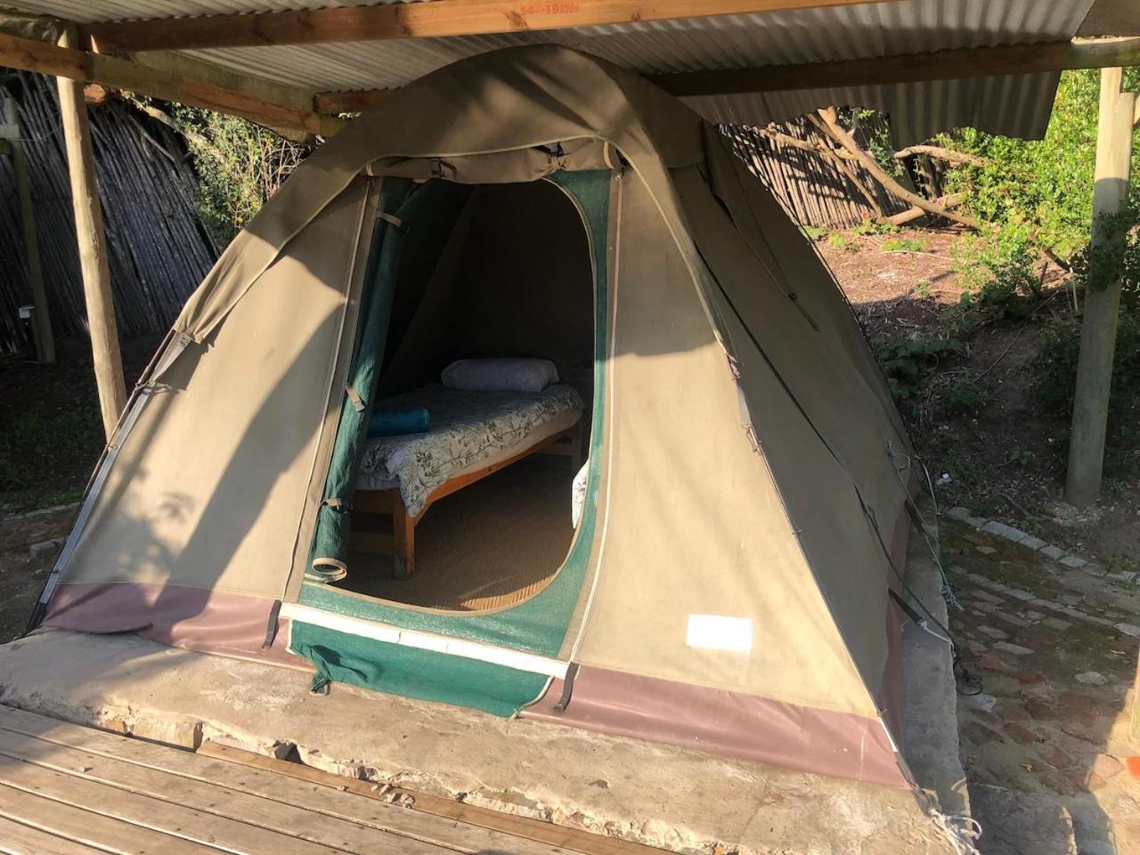 The Riverdeck Accommodation And Backpackers 나이스나 객실 사진