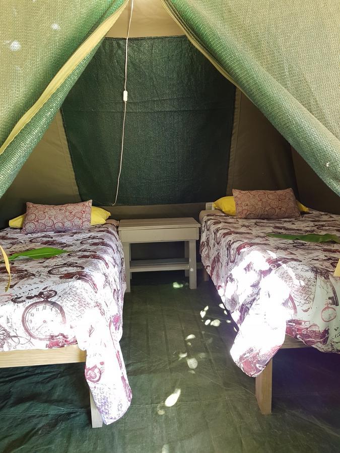 The Riverdeck Accommodation And Backpackers 나이스나 외부 사진